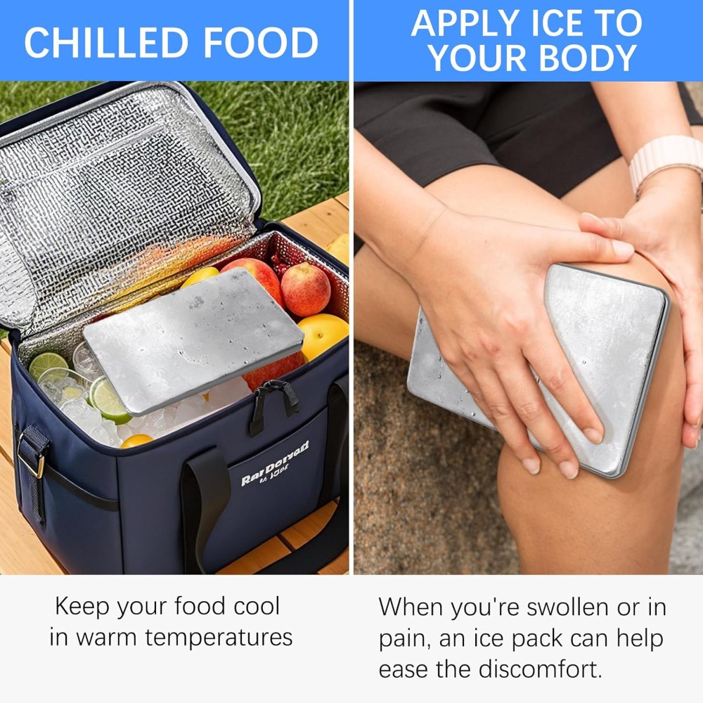 Ice Packs for Lunch Boxes Reus - đánh giá và giá Ice Bucket Silver